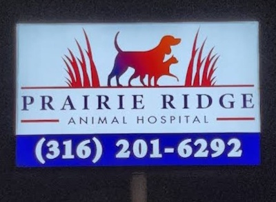 Animal Hospital Sign